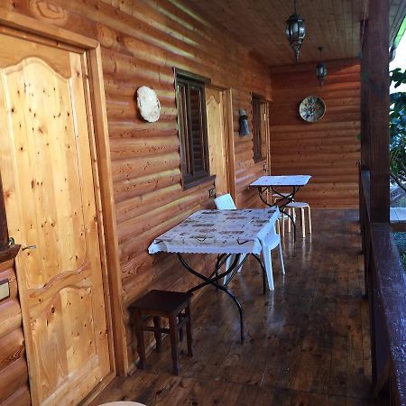 Guest House Nana Gagra Bagian luar foto