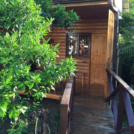 Guest House Nana Gagra Bagian luar foto