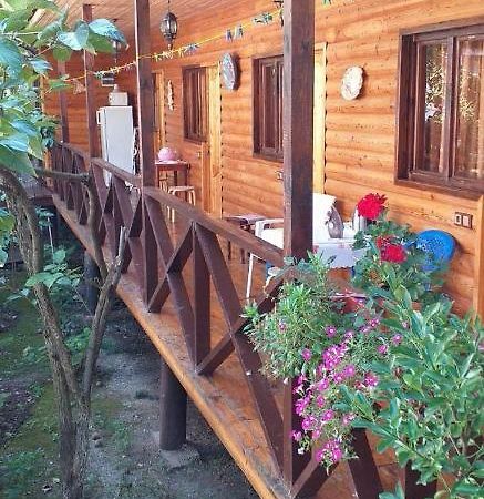 Guest House Nana Gagra Bagian luar foto