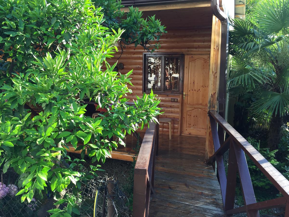 Guest House Nana Gagra Bagian luar foto