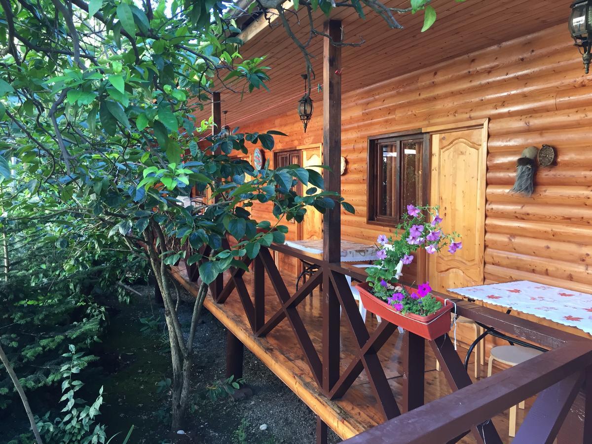 Guest House Nana Gagra Bagian luar foto
