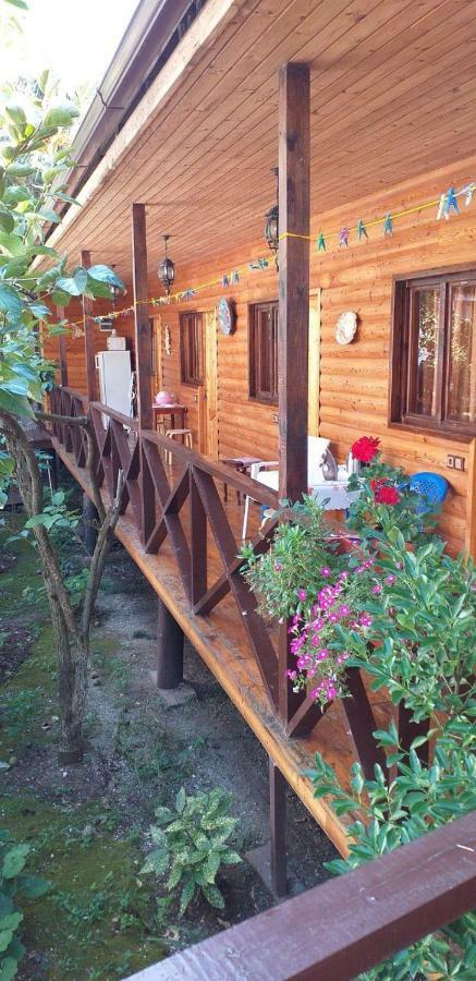 Guest House Nana Gagra Bagian luar foto